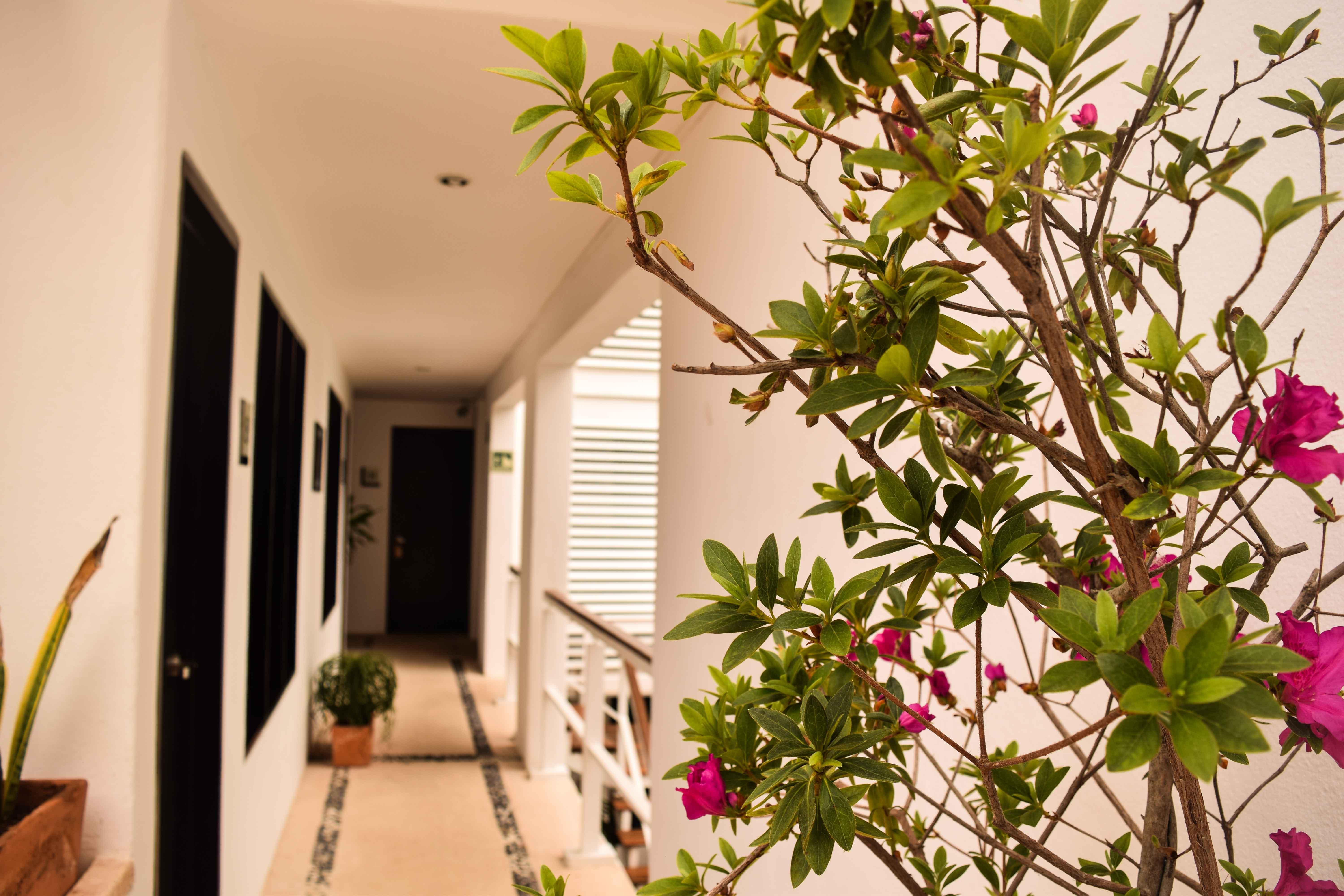 Casa Ticul Hotel Boutique - 5Th Ave (Adults Only) Playa del Carmen Buitenkant foto